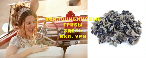 прущие крисы Краснотурьинск