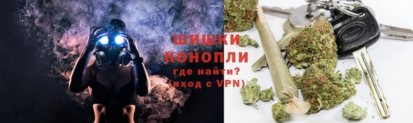 сатива Кукмор