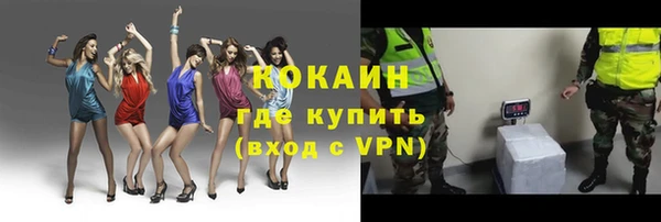сатива Кукмор