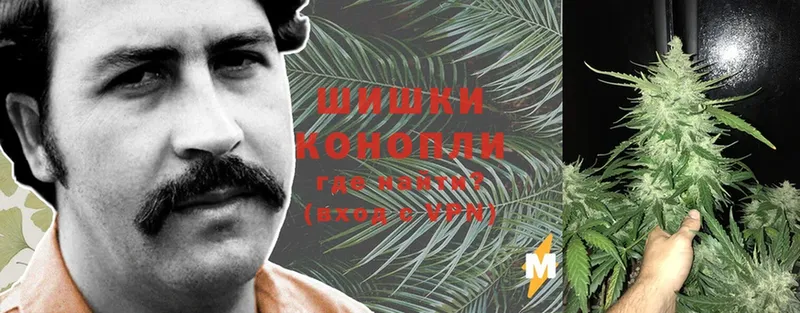Бошки Шишки сатива  Минеральные Воды 